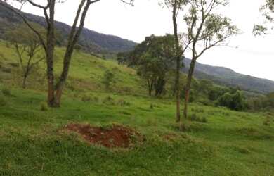 Imagem 14: Oportunidade em pinhão