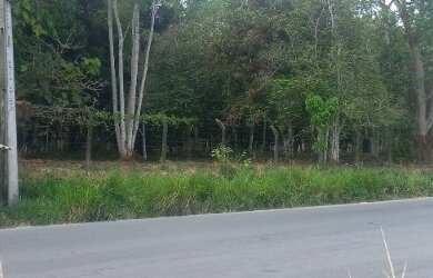 Imagem 7: Terreno 118.000M². 118.000m² de Área