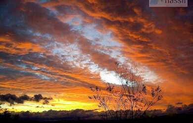 Imagem 4: Chácara com 7 dormitórios, 6300 m² - venda por R$ 3.000.000,00 ou aluguel...