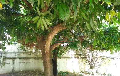 Imagem 11: Casa, 379 m² - venda por R$ 1.850.000,00 ou aluguel por R$ 8.000,00/mês...