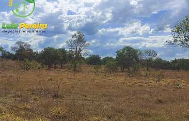 Imagem 4: FAZENDA À VENDA NO VALE DO ARAGUAIA - TO - 1.462 HECTARES (DUPLA APTIDÃO