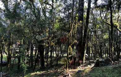 Imagem: O terreno possui 629m² de Área e está localizado em Canela