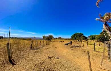 Imagem 4: Propriedade rural para investimento: fazenda com equipamentos e infraestrutura em Luziânia