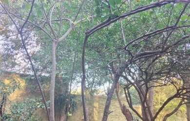 Imagem 9: Casas em Condomínio Alto Padrão para venda em Jundiaí no bairro Malota