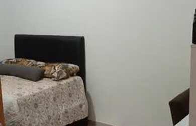 Imagem 8: Passo casa no Alto do Turu