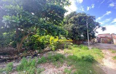 Imagem: O terreno possui 1560m² de Área e está localizado em Lagoa