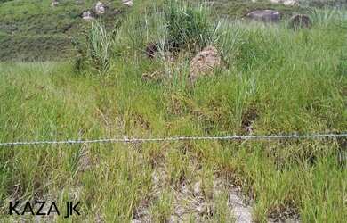 Imagem 14: Cabreuva Área 108 metros de frente na Rodovia D. Gabriel Paulino Bueno...