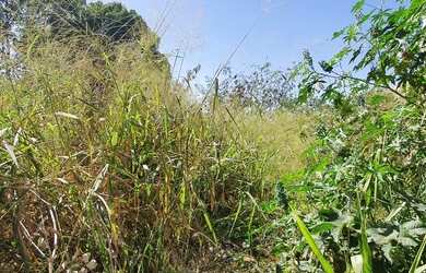 Imagem: O terreno possui 388m² de Área, Piscina e está localizado