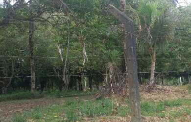 Imagem 3: Terreno 118.000M². 118.000m² de Área