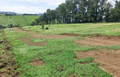 Imagem 9: VENDO CHACARA NA PLANTA. 100m² de Área