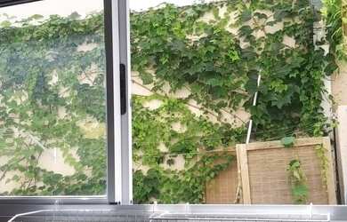 Imagem 9: Casa de condomínio em Cotia - venda por R$ 790.000 ou aluguel por R$...