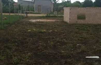 Imagem 5: Em belterra barrato. 