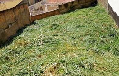 Imagem 7: Terreno à venda, 424 m² por R$ 350.000 - Jardim Paraíso - Campinas/SP