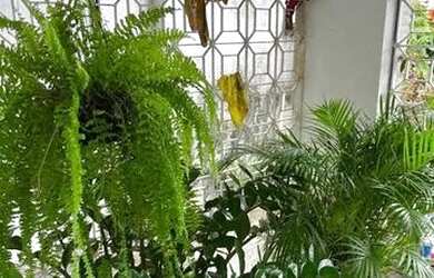 Imagem: A casa à venda possui 3 Dormitórios, 2 Banheiros, 1 Vaga na