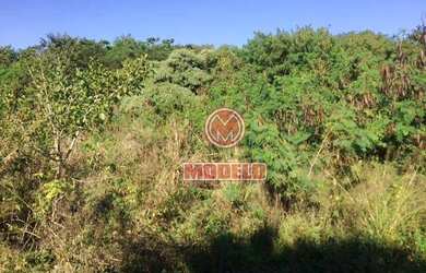 Imagem 9: Sítio à venda, 100000 m² por R$ 5.000.000,00 - Residencial Paineiras...