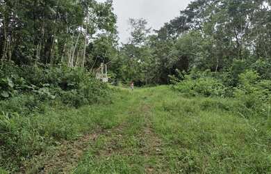 Imagem 7: Terreno à venda, 654 m² por R$ 200.000,00 - Massaguaçu - Caraguatatuba/SP