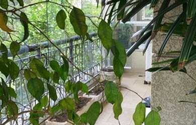 Imagem 2: Apartamento, 300 m² - venda por R$ 5.600.000,00 ou aluguel por R$ 22.000,00/mês...