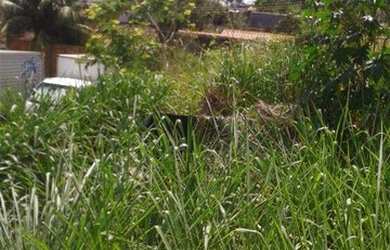 Imagem 1: Terreno residencial à venda, Campo Grande, Rio de Janeiro