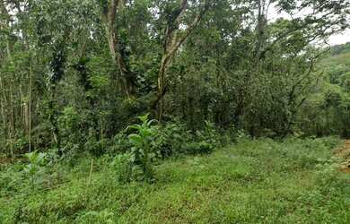 Imagem 5: Terreno à venda, 654 m² por R$ 200.000,00 - Massaguaçu - Caraguatatuba/SP