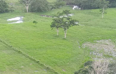 Imagem 3: Vendo fazenda laje