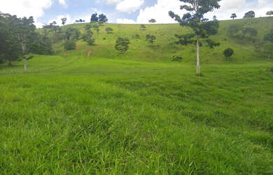 Imagem 1: Vendo fazenda laje