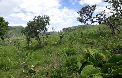 Imagem 7: Fazenda em Niquelândia 1