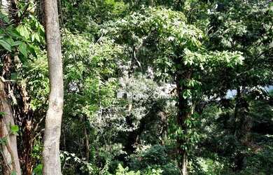 Imagem 3: Terreno à venda, 384 m² por R$ 320.000,00 - Fradinhos - Vitória/ES