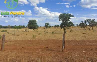 Imagem 2: FAZENDA À VENDA NO VALE DO ARAGUAIA - TO - 1.462 HECTARES (DUPLA APTIDÃO