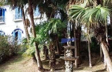 Imagem 14: Casa com 4 dormitórios, 2500 m² - venda por R$ 7.000.000,00 ou aluguel...