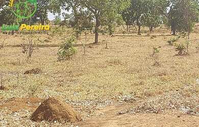 Imagem 8: FAZENDA À VENDA NO VALE DO ARAGUAIA - TO - 1.462 HECTARES (DUPLA APTIDÃO
