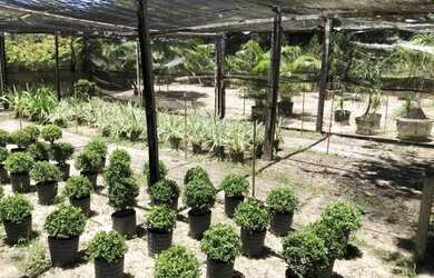 Imagem: O terreno possui 35.000m² de Área e está localizado em Renascer