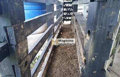 Imagem 4: Fazenda medindo 400000 m² por R$ 800.000 - Zona Rural - Pau Brasil/BA