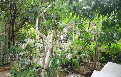 Imagem 10: terreno zonz sul. 1.050m² de Área