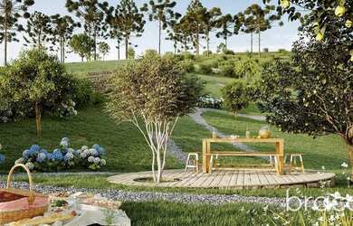 Imagem 8: Terreno à venda, 863 m² por R$ 281.754,54 - Rio Porteira - Bom Jardim...