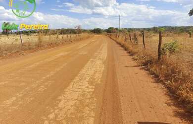 Imagem 10: FAZENDA À VENDA NO VALE DO ARAGUAIA - TO - 1.462 HECTARES (DUPLA APTIDÃO