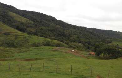 Imagem 9: Oportunidade em pinhão