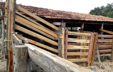 Imagem 2: Chacra 10 alq cultura boa d x27 água muito barata