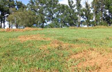 Imagem 2: VENDO CHACARA NA PLANTA. 100m² de Área