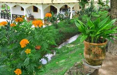 Imagem 9: Fazenda para Venda - FAZENDA, FLORESTAL - 110000m², 3 vagas