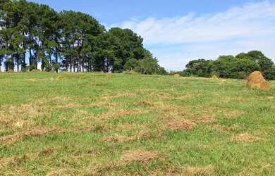 Imagem 15: VENDO CHACARA NA PLANTA. 100m² de Área