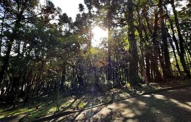 Imagem: O terreno possui 802m² de Área e está localizado em Canela