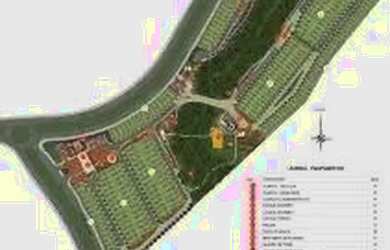 Imagem 3: Super Oferta Florais Safira