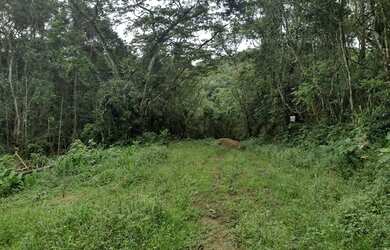 Imagem 10: Terreno à venda, 654 m² por R$ 200.000,00 - Massaguaçu - Caraguatatuba/SP