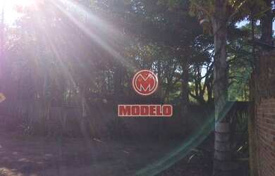 Imagem 13: Sítio à venda, 100000 m² por R$ 5.000.000,00 - Residencial Paineiras...