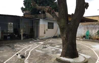 Imagem 2: Casa Residencial. Varanda, 215m² de Área, 3 Vagas na garageme3 Dormitórios