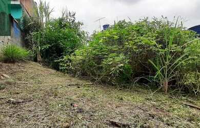 Imagem 3: Terreno à venda, 250 m² por R$ 318.000,00 - Jardim Paraíso - Guarulhos/SP