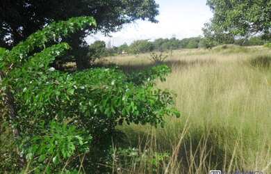 Imagem: O terreno e possui 320-0m² de Área está localizado em Campo