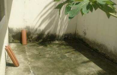 Imagem 12: Casa com 2 dormitórios à venda, 73 m² por R$ 130.000,00 - Lameirão...