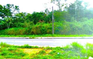 Imagem 2: Terreno 118.000M². 118.000m² de Área