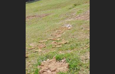 Imagem: O terreno possui 384m² de Área e está localizado em Jardim